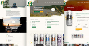 Breton Brewing website design examples